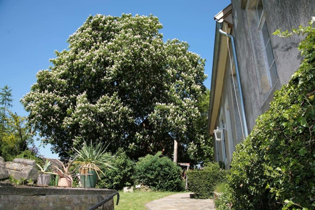 Haus Keppelborg: Zi Antonia Mit Kirchplatzblick Apartment Heek Exterior foto
